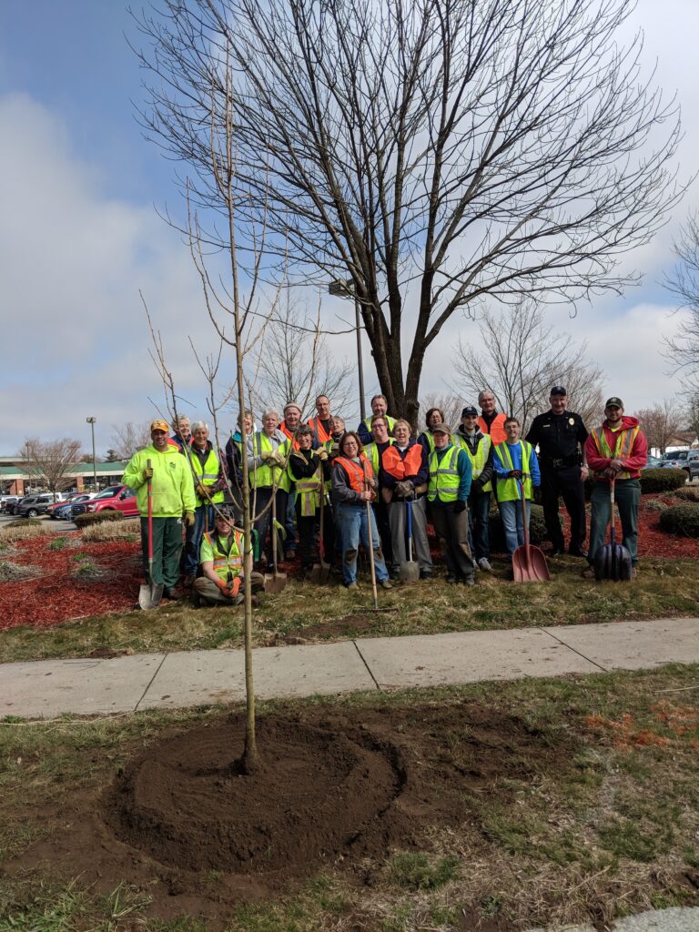 2019 Community Forestry Grant Projects – Connecticut Urban Forest Council